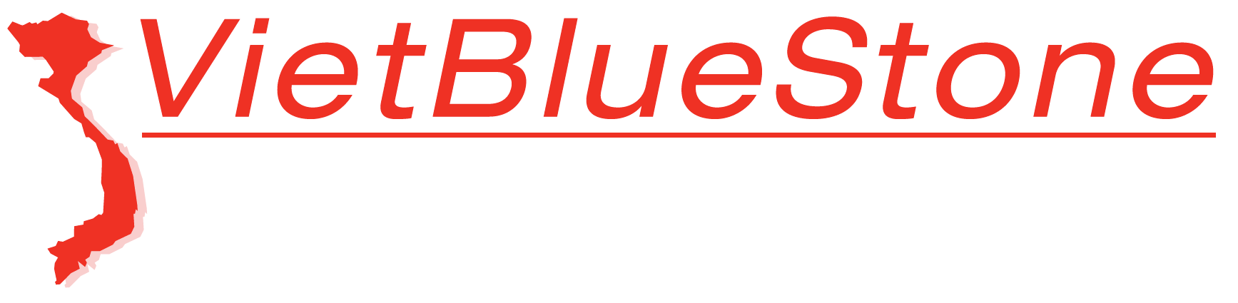 VietBlueStone logo